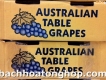 Nho khô nguyên cành của Úc giá 400n/kg, 210n/500g