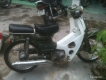 ban xe cup 81 gia re