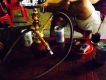 Sinh tố ngon, rẻ 13k free bình shisha