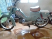 Xe cho niềm đam mê