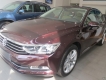 Bán xe Volkswagen Passat màu nho cực sang, cực hiếm  LH: 0973.097.627