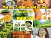 Bột trà xanh , Mật ong , Tinh bột nghệ Phúc An