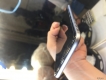 6plus 16gb gray 6tr8