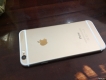 IPhone 6 16gb gold không vân tay