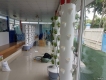 Cần tìm đại lý phân phối trụ thủy canh