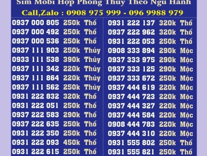 Sim phong thủy hợp mệnh may mắn trong kinh doanh, đầu 09 trả trước.
