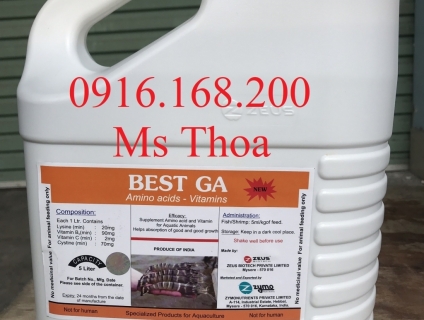 Best Ga: Bổ gan thảo dược dạng nước