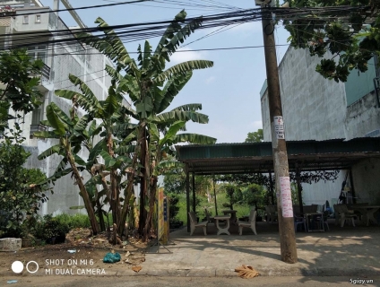 Cần sang gấp 143m2 đất thổ cư Phước Long B, Quận 9, giá 8 tỷ