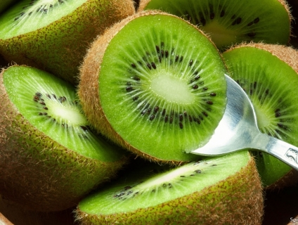 Cây Giống KiWi - Cây leo cho quả bổ dưỡng
