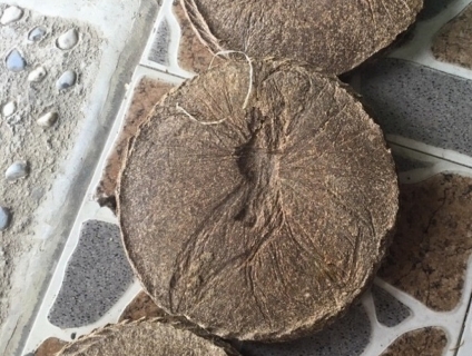 Cung cấp Bánh dầu dậu phộng