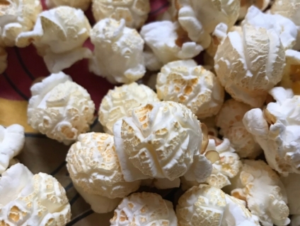 Cung cấp Bắp hạt nổ Mỹ (Làm bắp rang bơ)