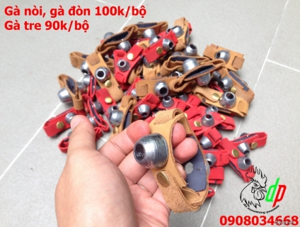 Cộng tác viên đăng bài hội nhóm