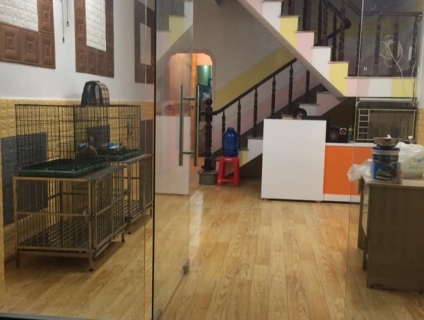 Dịch Vụ Trông Giữ Chăm Sóc Chó Mèo Tại Hồ Chí Minh