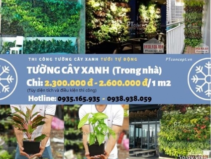 Ptconcept.vn – Dịch vụ cảnh quan độc đáo