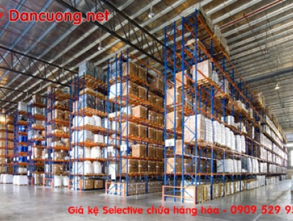 Giá kệ kho nguyên liệu, kệ kho bao bì, kệ chứa hàng Dân Cường