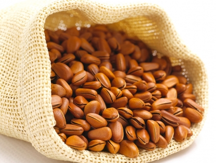 Bạn đã biết gì về hạt thông chưa?