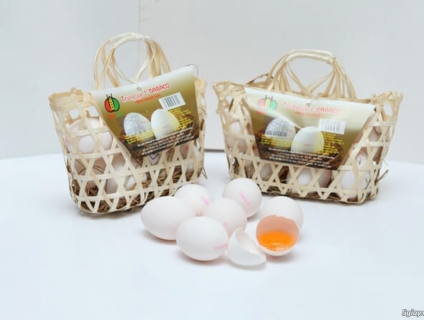 Trứng gà J- DABACO