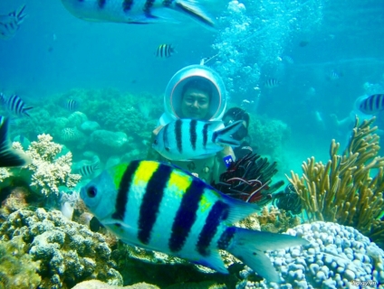 Tour Cano Lặn Ngắm San Hô Nha Trang