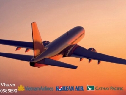 Mua vé máy bay giá rẻ, đảm bảo - Phòng vé máy bay VHA