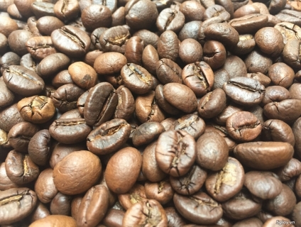 Cà phê hạt bột nguyên chất
