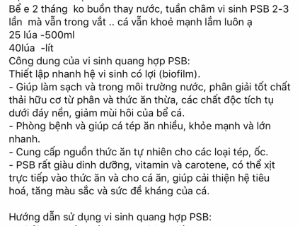 Cá betta và vi sinh quang hợp psb