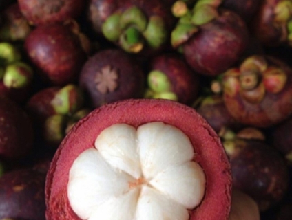 Sỉ măng cụt sll ạ