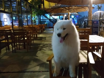 Review Quán Cà Phê Đẹp Quy Nhơn Mà Bạn Nhất Định Phả Ghé Qua