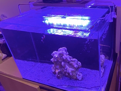 Bán BỂ CHƠI CÁ BIỂN SUNSUN ATH500(50x40x36)