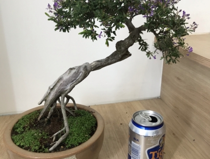 Linh sam 86 lũa thép