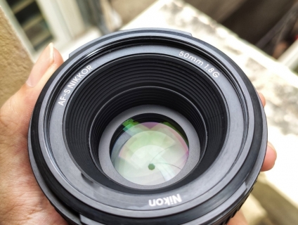 NIKON D7100 + 18-105VR + 50 F1.8G