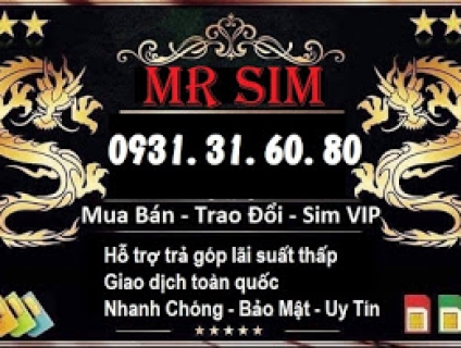 Mr Sim tự hào mang đến cho bạn hàng triệu con sim số đẹp