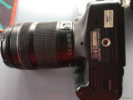 600D - 18 135 IS STM - 55 250 IS STM - 70 210 F4