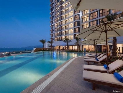 Gt về Công Ty Linh Ứng Travel