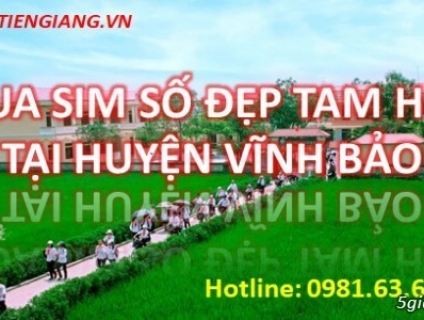 Gợi Ý Địa Chỉ Uy Tín Mua Sim Số Đẹp Tam Hoa Tại Huyện Vĩnh Bảo