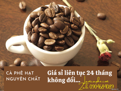 Nơi bán cà phê rang xay uy tín chất lượng cao giá sỉ