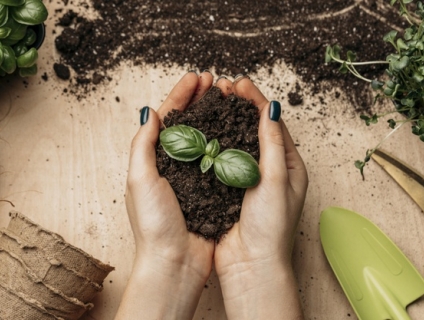 Phân dơi hữu cơ Minh Tâm - Túi zip 150g