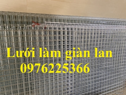 Lưới thép làm giàn lan D3a50x50, D4a50x50 có sẵn dạng tấm, dạng cuộn