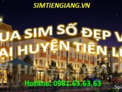 Mua Sim Số Đẹp Vip Tại Huyện Tiên Lữ Thể Hiện Đẳng Cấp Của Bạn