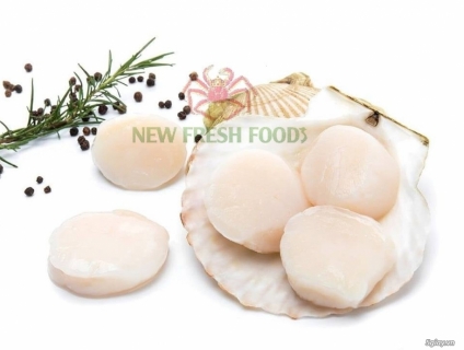 Cồi Sò Điệp Mỹ SuShi - New Fresh Foods