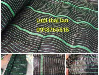 lưới che nắng thái loan