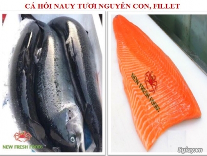 CÁ HỒI NAUY - NEW FRESH FOODS