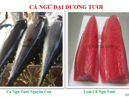 Cá Ngừ Đại Dương - New Fresh Foods