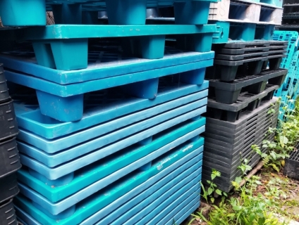 Giá rẻ pallet nhựa, pallet nhựa giá rẻ khu vực hà nội