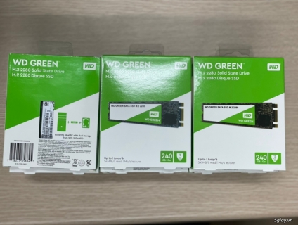 Ổ cứng ssd M2 WD 240GB - Chính Hãng