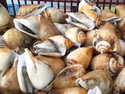 5 Món ăn “gây thương nhớ” khi đến đảo Phú Qúy