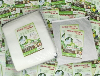 Sản xuất túi bọc bưởi chất lượng tốt độ bền cao