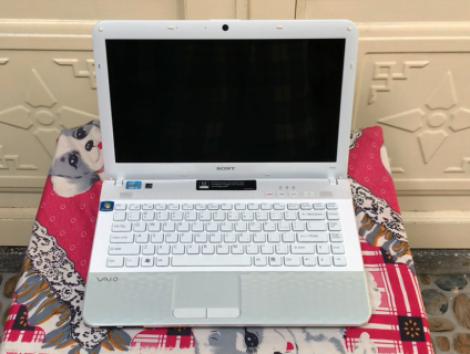 Laptop Sony-SSD-DVD-Webcam-14inch