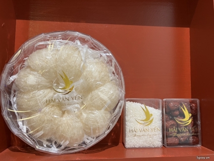 Yến rút lông nguyên tổ | Hải Vân Yến