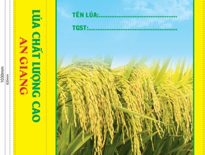 Bao bì lúa giống bền đẹp - thiết kế ấn tượng