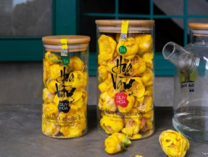 Trà hoa vàng Quy Hoa Hải Hà Quảng Ninh